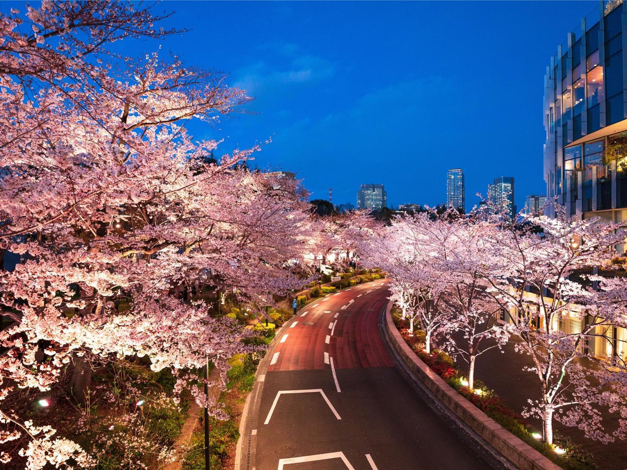 Mimaru Tokyo Akasaka Tóquio Exterior foto